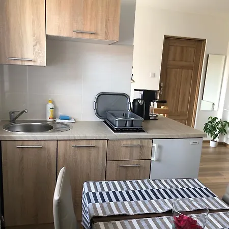 Apartament Pod Kasztanem Duszniki Zdrój