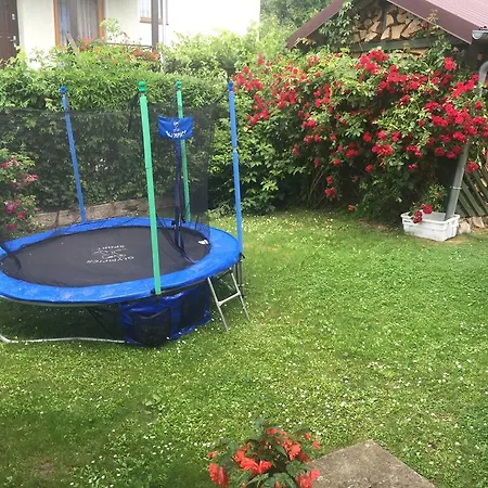 Apartment Pod Kasztanem