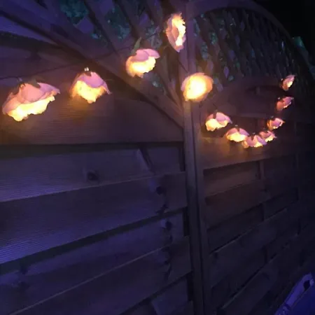 Apartament Pod Kasztanem *