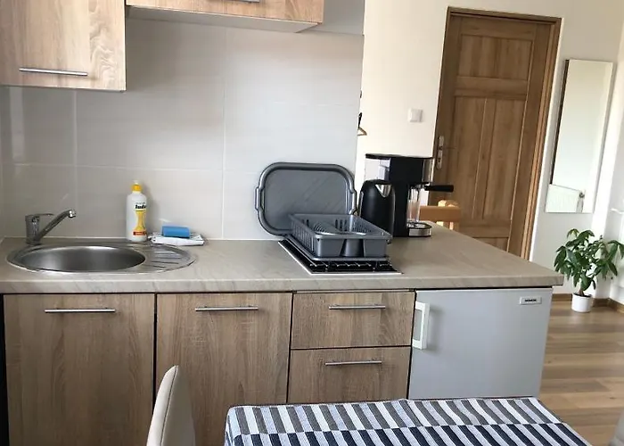 Апартаменты Pod Kasztanem Душники-Здруй